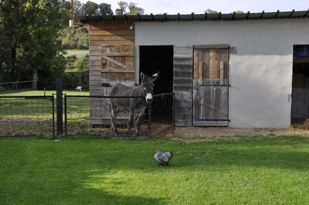 La Maison Du Bonheur "Le Gite" Saint-Ouen-sous-Bailly Kültér fotó