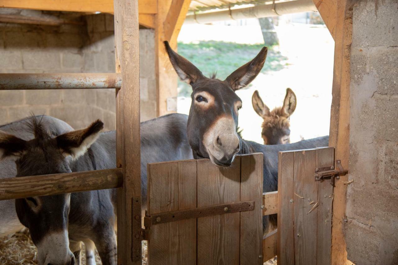 La Maison Du Bonheur "Le Gite" Saint-Ouen-sous-Bailly Kültér fotó